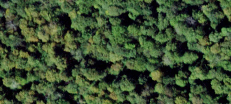 Hunter Rd