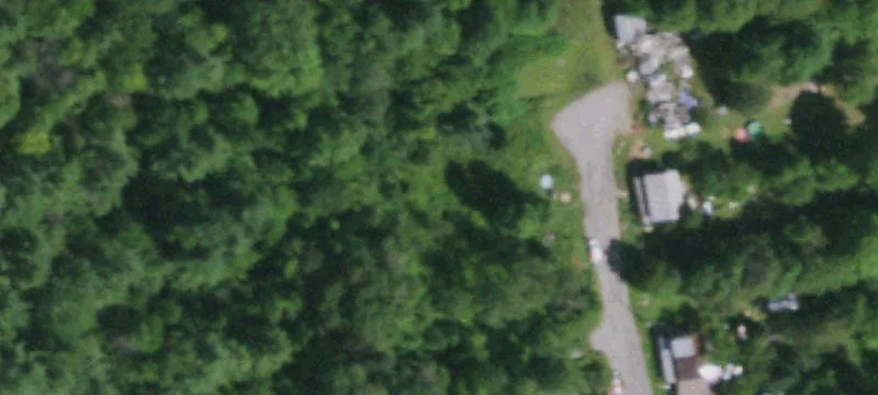 Curtis Ln