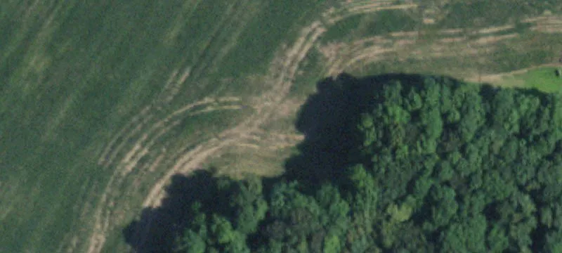 Buffalo Rd