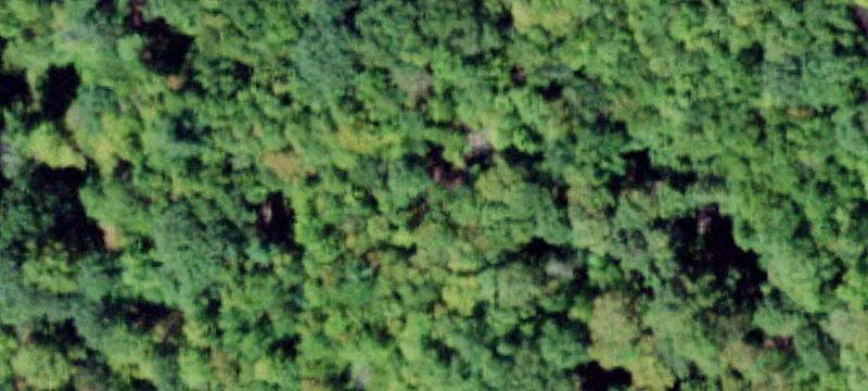 Sugar Lf Rd