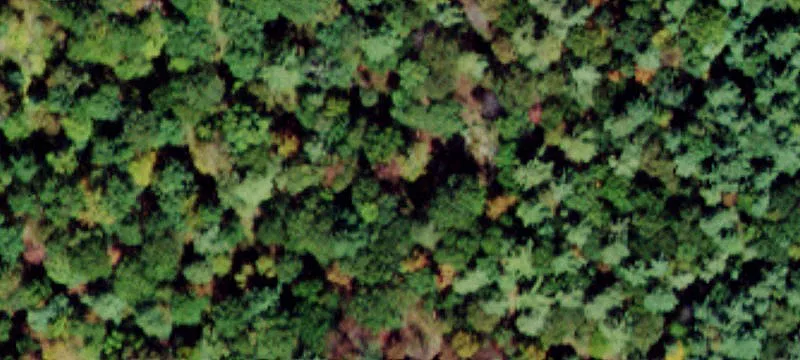 Kalin Weber Rd