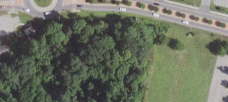 Rte 55