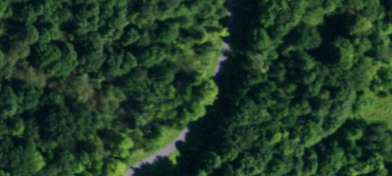 Woodland Dr