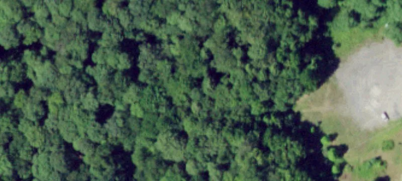 Wood Rd