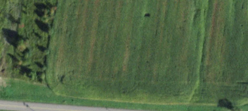 Lakeville Rd