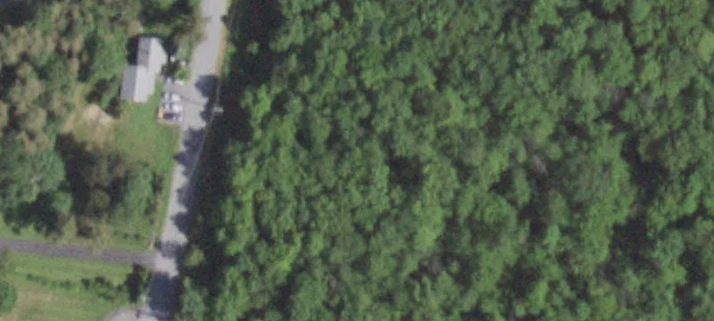 Lauer Rd