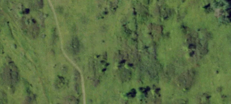 Of Nys Rte 411