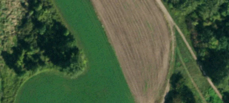Oakfield, NY 14125