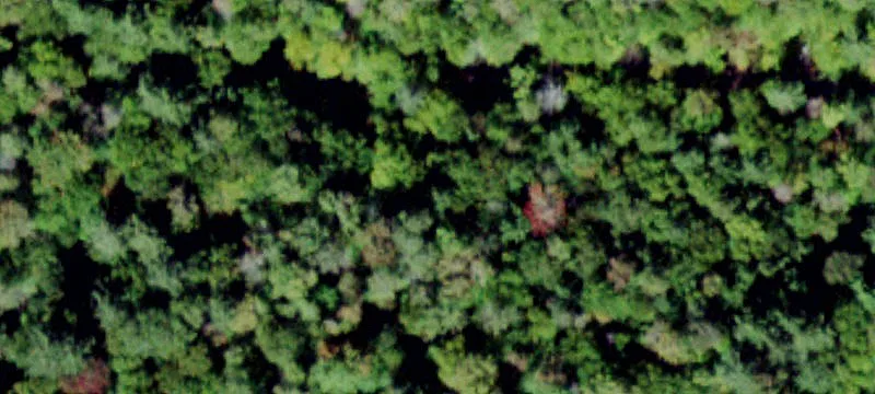 2000 Frost Vly Rd