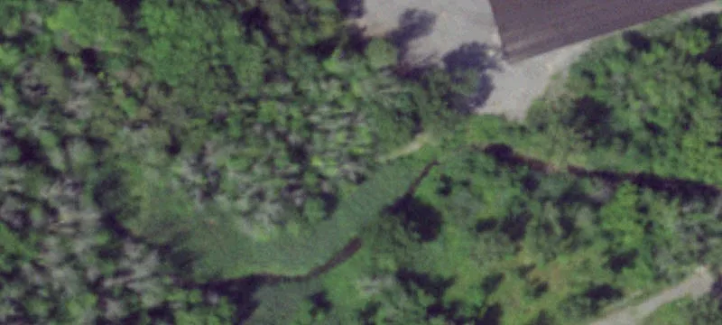 Oswego Rd