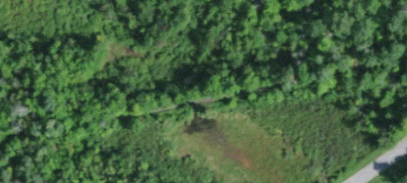 Cook Rd