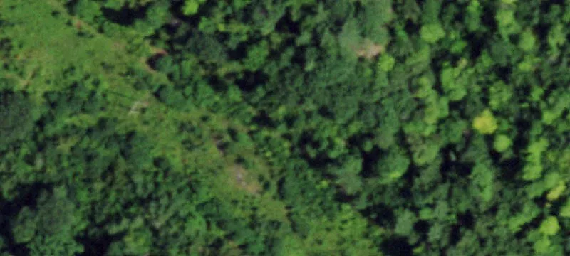 Cheney Rd, NY