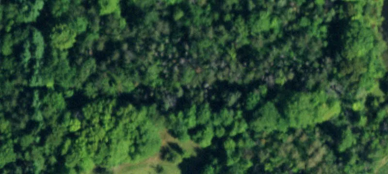 Schultz Rd