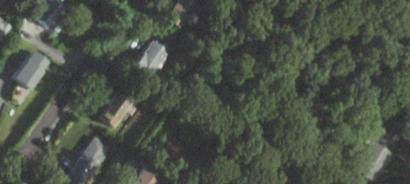 Bellview Ave