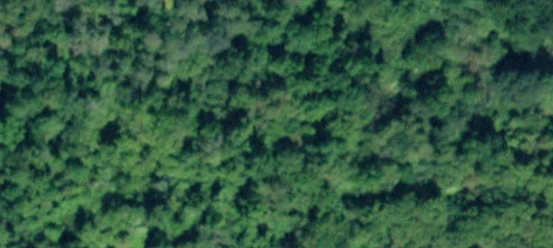 Paines Hollow