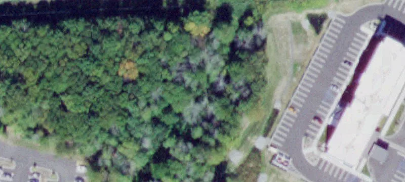 41 Dunning Rd