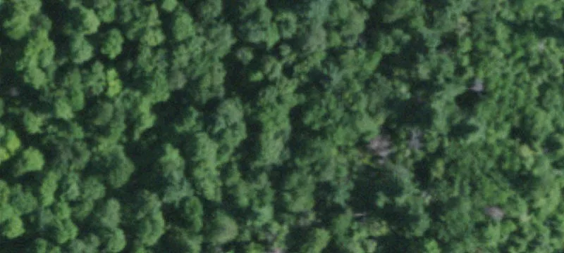 Brasher Falls, NY 13613