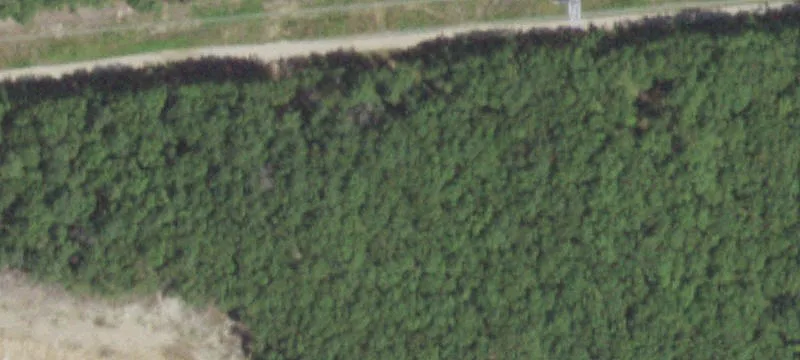 Dunn Woods Rd