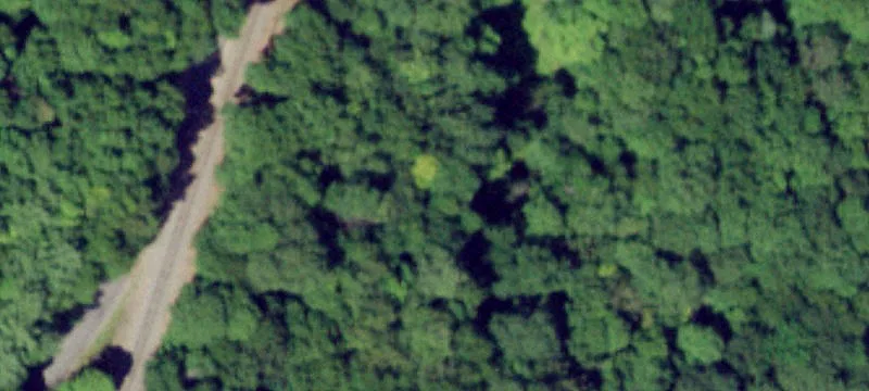 Downer Hl Rd