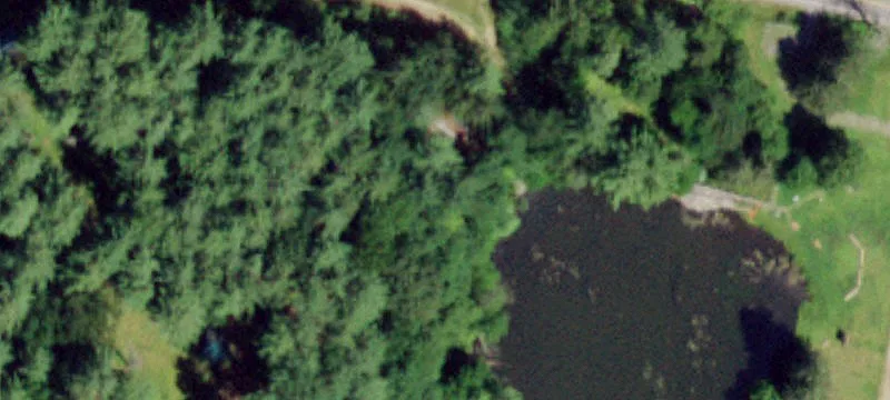 89 Scout Rd