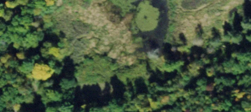 Woods Rd