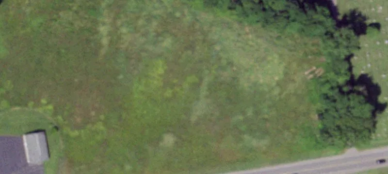 State Rte 49