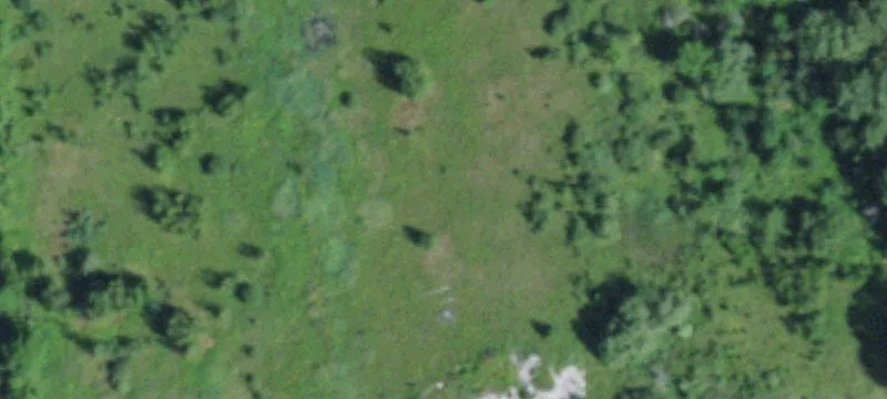 1599 State Rte 11