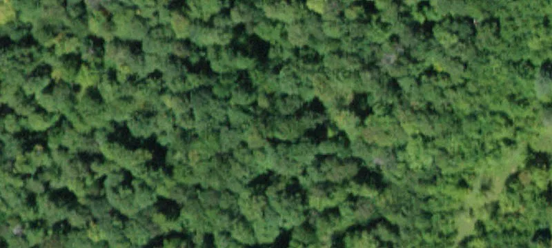 Jefferson, NY 12093