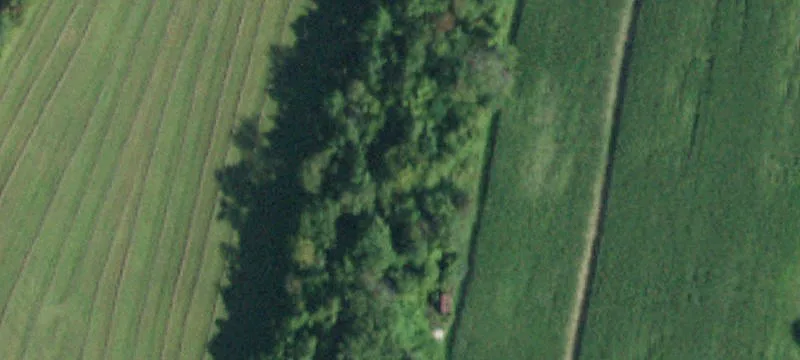 Wenzel Ln