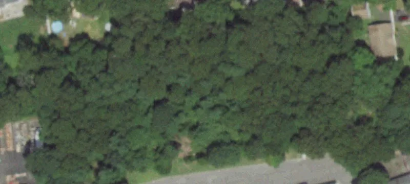 31 Middle Country Rd