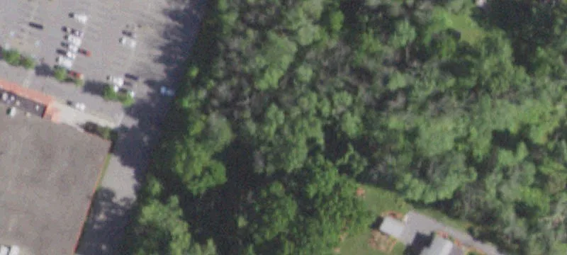 Rte 55
