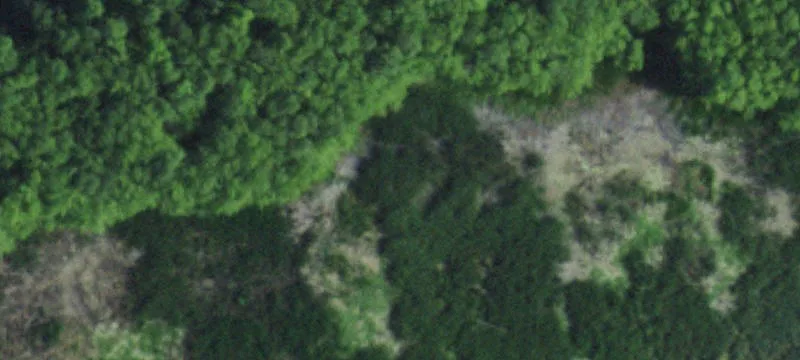 Nys Rte 9n
