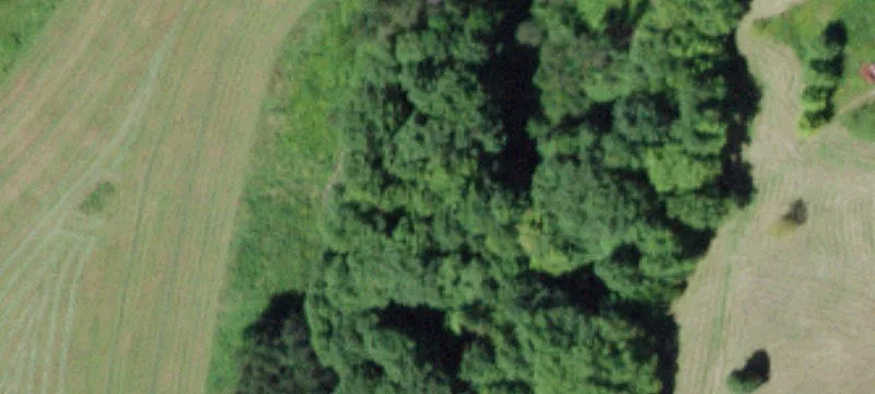 Reinertsen Hl Rd