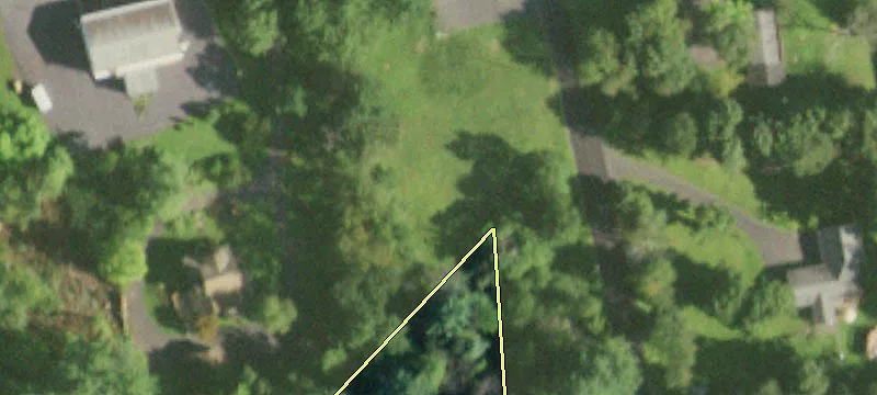 1549 Sr 81