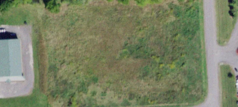 Cayuga Vis Dr
