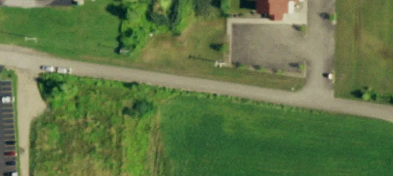 Olean Rd