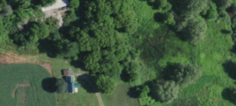 Telephone Rd