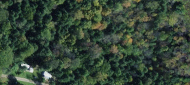 Woods Ln