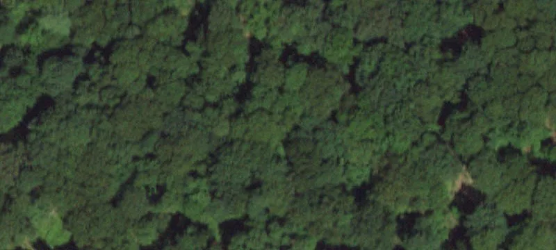 Oak St
