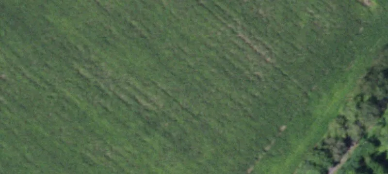 Mdws Rd