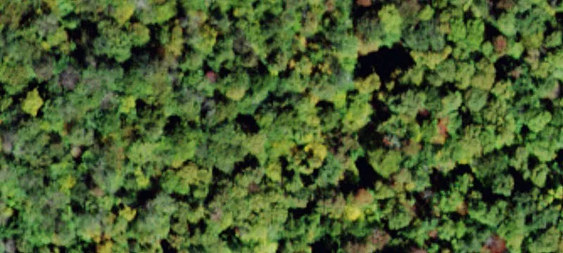 149 Old Hunter Rd