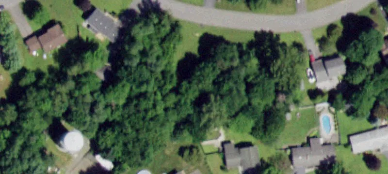 Birch Gln Dr