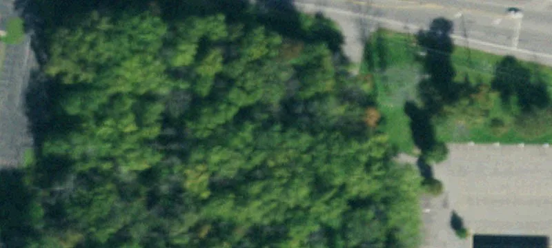 Big Tree Rd