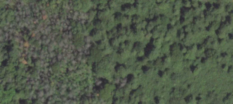 Horseblock Rd