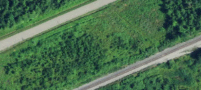 Werle Rd