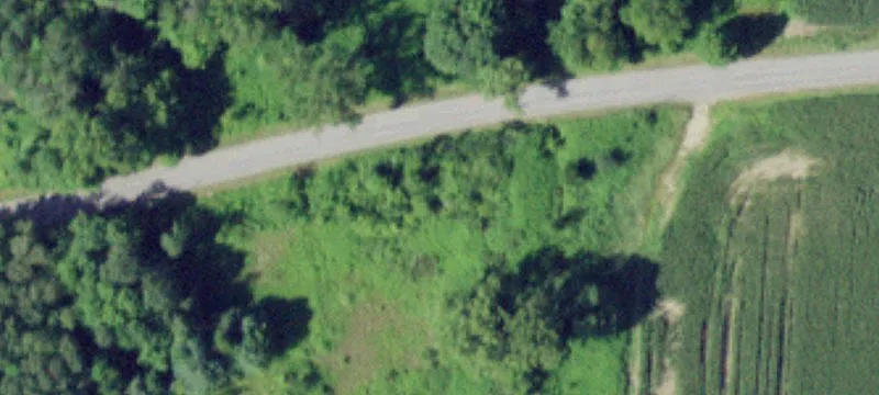 Gravesville Rd