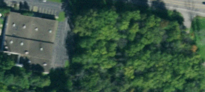 Big Tree Rd
