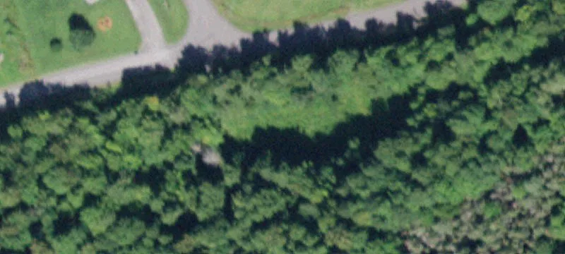 Mickle Holw Rd