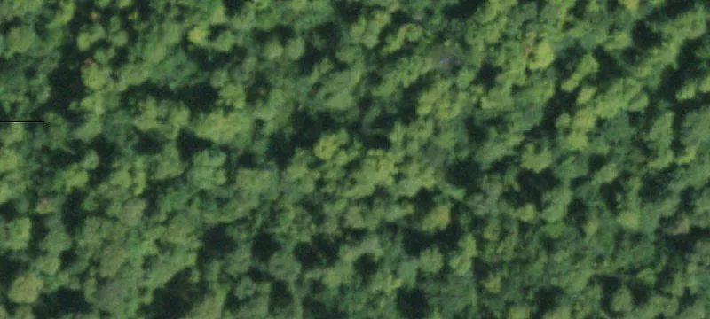 Graphite Mtn Rd