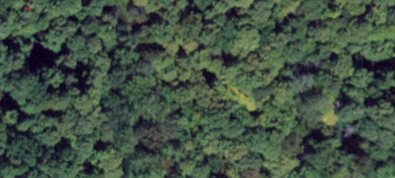 Hadden Rd
